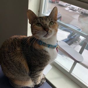 Meet your Posher, Daniela